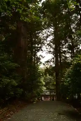 若一王子宮(高知県)