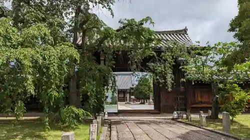 妙覺寺（妙覚寺）(京都府)