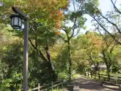 根来寺の自然