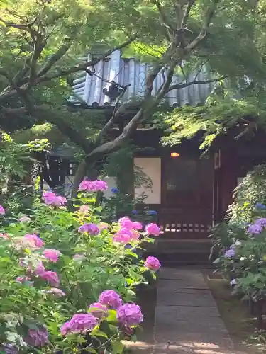 本土寺(千葉県)