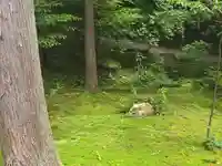 山王大宮神社(滋賀県)