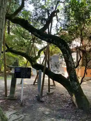 安布知神社(長野県)