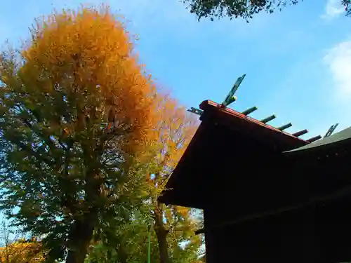 下石原八幡神社の本殿・本堂