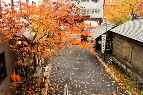 札幌祖霊神社の景色