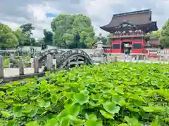 伊賀八幡宮(愛知県)