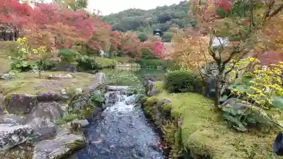 禅林寺（永観堂）の{uncategorized: "未分類", other: "その他", undefined: "問題あり", building: "その他建物", grave: "お墓", sacred_gate: "鳥居", guardian: "狛犬", statue: "像", buddha: "仏像", history: "歴史", nature: "自然", garden: "庭園", animal: "動物", pagoda: "塔", temizu: "手水舎", mountain_gate: "山門・神門", sanctuary: "本殿・本堂", subordinate: "末社・摂社", art: "芸術", scenery: "景色", jizo: "地蔵", ema: "絵馬", goshuin: "御朱印", omikuji: "おみくじ", items: "授与品その他", amulet: "お守り", goshuincho: "御朱印帳", eats: "食事", festival: "お祭り", votive_dance: "神楽", shichigosan: "七五三参", wedding: "結婚式", experience: "体験その他", initially: "初詣", around: "周辺", anti_infection: "感染症対策"}