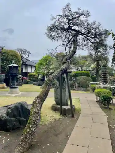 東光寺の{uncategorized: "未分類", other: "その他", undefined: "問題あり", building: "その他建物", grave: "お墓", sacred_gate: "鳥居", guardian: "狛犬", statue: "像", buddha: "仏像", history: "歴史", nature: "自然", garden: "庭園", animal: "動物", pagoda: "塔", temizu: "手水舎", mountain_gate: "山門・神門", sanctuary: "本殿・本堂", subordinate: "末社・摂社", art: "芸術", scenery: "景色", jizo: "地蔵", ema: "絵馬", goshuin: "御朱印", omikuji: "おみくじ", items: "授与品その他", amulet: "お守り", goshuincho: "御朱印帳", eats: "食事", festival: "お祭り", votive_dance: "神楽", shichigosan: "七五三参", wedding: "結婚式", experience: "体験その他", initially: "初詣", around: "周辺", anti_infection: "感染症対策"}