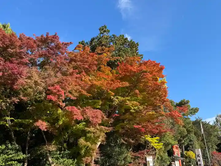 賀茂別雷神社(上賀茂神社)(京都府)