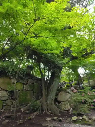 村雲御所瑞龍寺門跡(滋賀県)