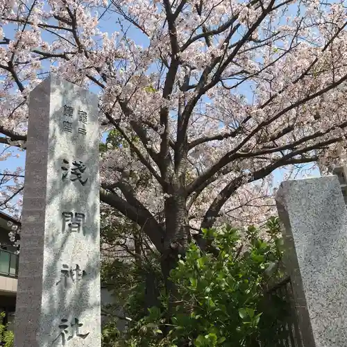 亀戸浅間神社の自然