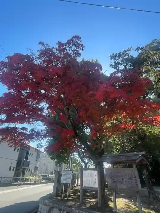 往馬坐伊古麻都比古神社(奈良県)