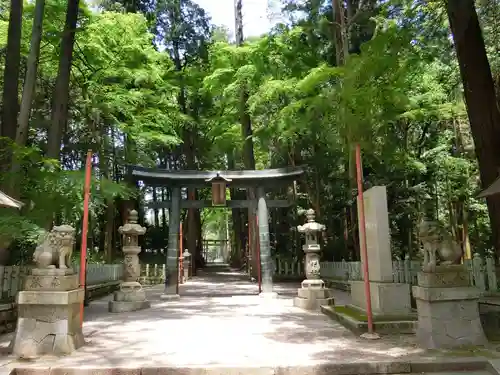 田村神社の鳥居