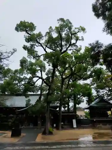 越ヶ谷久伊豆神社の庭園