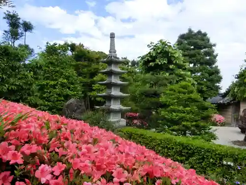 正法寺の庭園