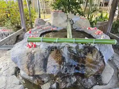 大安寺(奈良県)