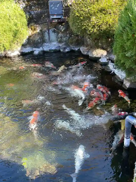 久遠寺(山梨県)