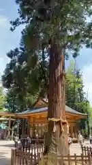 穂高神社本宮(長野県)