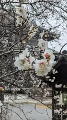 満願寺(京都府)