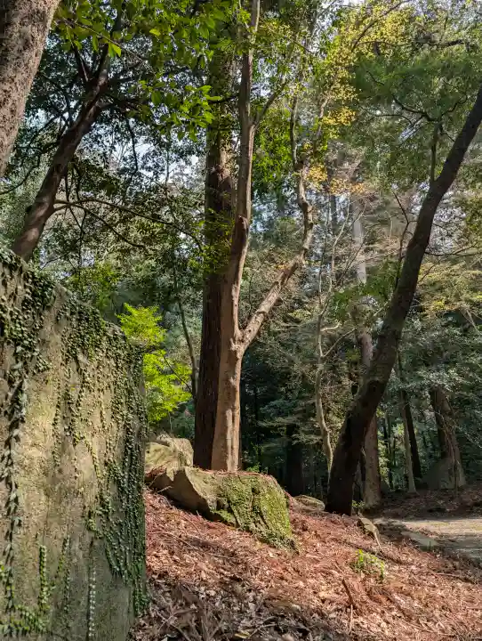 伊和神社の{uncategorized: "未分類", other: "その他", undefined: "問題あり", building: "その他建物", grave: "お墓", sacred_gate: "鳥居", guardian: "狛犬", statue: "像", buddha: "仏像", history: "歴史", nature: "自然", garden: "庭園", animal: "動物", pagoda: "塔", temizu: "手水舎", mountain_gate: "山門・神門", sanctuary: "本殿・本堂", subordinate: "末社・摂社", art: "芸術", scenery: "景色", jizo: "地蔵", ema: "絵馬", goshuin: "御朱印", omikuji: "おみくじ", items: "授与品その他", amulet: "お守り", goshuincho: "御朱印帳", eats: "食事", festival: "お祭り", votive_dance: "神楽", shichigosan: "七五三参", wedding: "結婚式", experience: "体験その他", initially: "初詣", around: "周辺", anti_infection: "感染症対策"}
