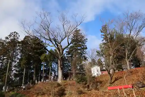 阿久津「田村神社」（郡山市阿久津町）旧社名：伊豆箱根三嶋三社の景色