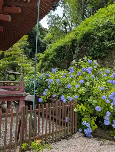 明王院(広島県)