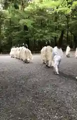 伊勢神宮内宮（皇大神宮）(三重県)