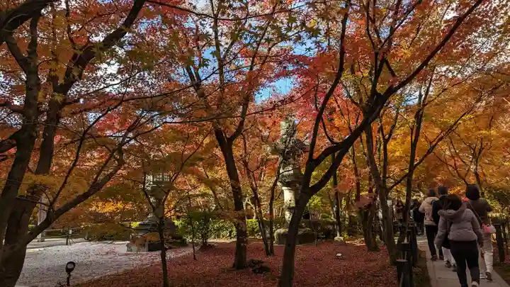 禅林寺(永観堂)(京都府)