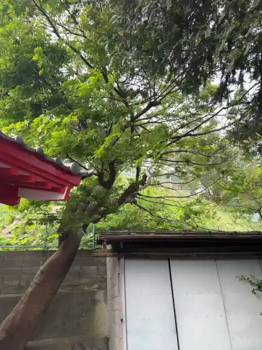 宝玉稲荷神社の{uncategorized: "未分類", other: "その他", undefined: "問題あり", building: "その他建物", grave: "お墓", sacred_gate: "鳥居", guardian: "狛犬", statue: "像", buddha: "仏像", history: "歴史", nature: "自然", garden: "庭園", animal: "動物", pagoda: "塔", temizu: "手水舎", mountain_gate: "山門・神門", sanctuary: "本殿・本堂", subordinate: "末社・摂社", art: "芸術", scenery: "景色", jizo: "地蔵", ema: "絵馬", goshuin: "御朱印", omikuji: "おみくじ", items: "授与品その他", amulet: "お守り", goshuincho: "御朱印帳", eats: "食事", festival: "お祭り", votive_dance: "神楽", shichigosan: "七五三参", wedding: "結婚式", experience: "体験その他", initially: "初詣", around: "周辺", anti_infection: "感染症対策"}