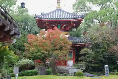 温泉山 安楽寺(四国霊場第六番札所)のその他建物