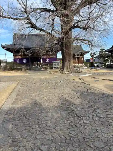 地蔵寺(徳島県)