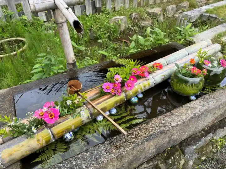 二尊院(京都府)