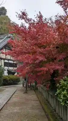 観音寺（山崎聖天）(京都府)