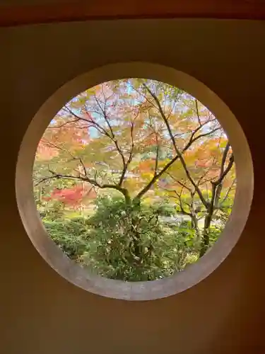 善法律寺の自然