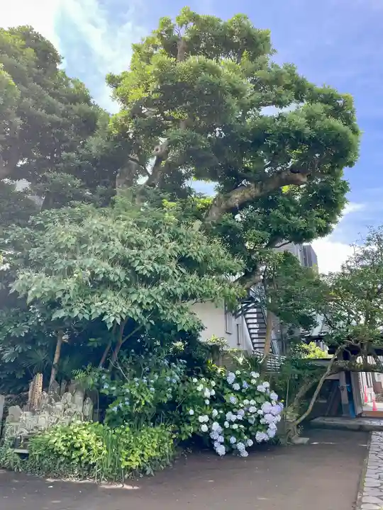 教恩寺(神奈川県)