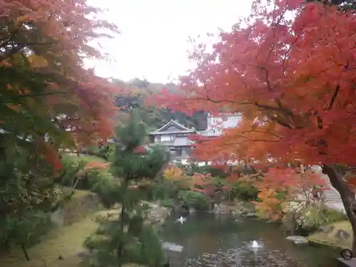 円覚寺の庭園