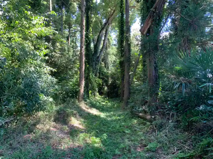 権現神社(千葉県)