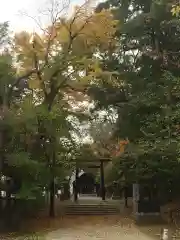 錦山天満宮の鳥居