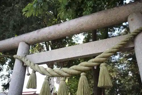 小被神社の鳥居