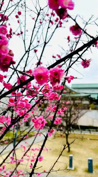 佐佳枝廼社(福井県)