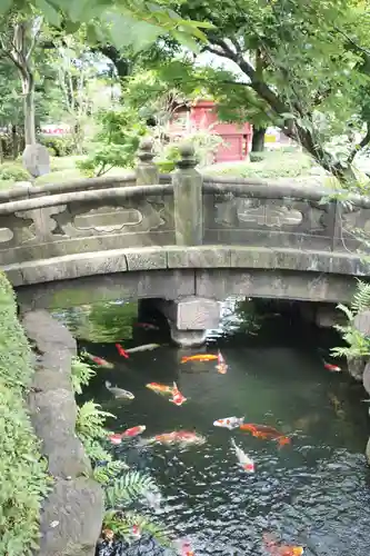 浅草寺の庭園