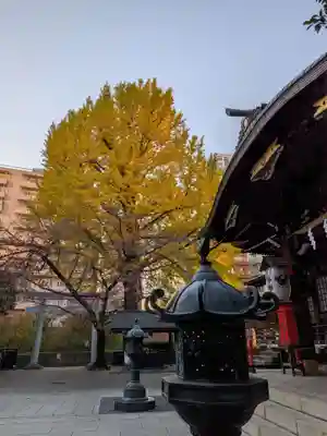 熊野神社の自然