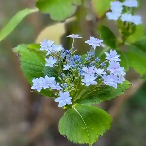 伊勢の国 四天王寺(三重県)