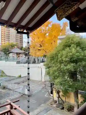 専光寺(東京都)