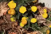 阿邪訶根神社の庭園