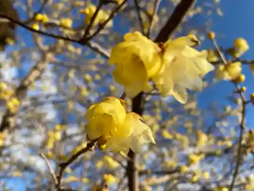 羽黒山神社(栃木県)