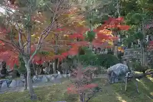 伊勢の国 四天王寺の庭園(2021年10月16日(土) 12時41分04秒投稿)