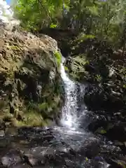 朝光寺の自然