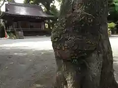 七社神社の自然