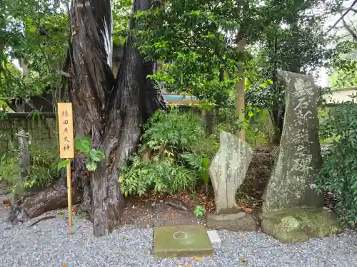星宮神社(栃木県)