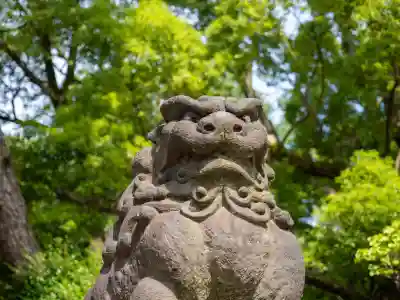 根津神社(東京都)